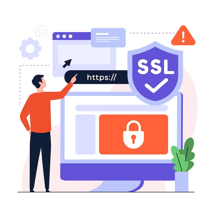 Domain + Hosting + SSL + 1 Email